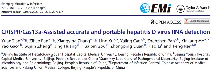 【佑安学术】便捷实用，北京佑安医院任锋科研团队利用CRISPR新技术助力HDV RNA快速便携检测